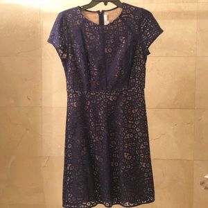 Blue and tan dress from Loft